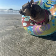 Nascer do Sol na Prainha Branca